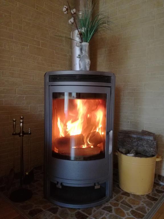 Cozy One Room Apartment With Yard Juodkrantė Exteriör bild